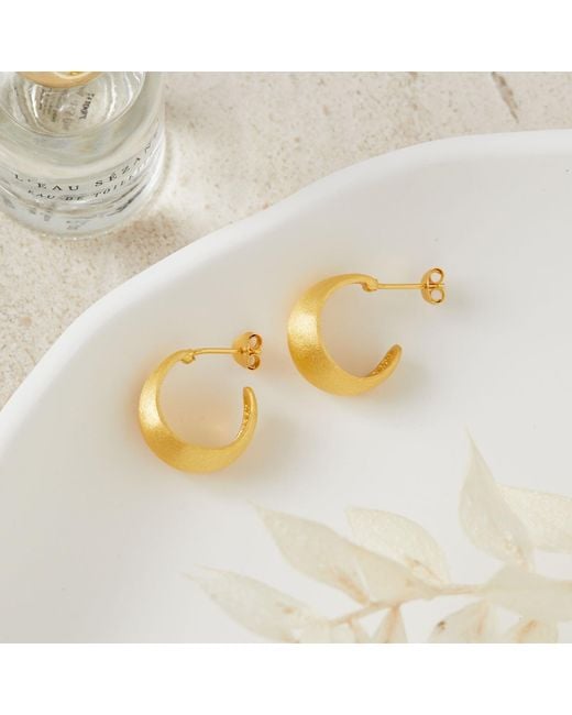 Esterah Metallic Matte Dome Hoop Earrings