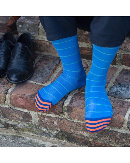 Peper Harow - Made in England Blue Thin Stripe Socks Bundle for men