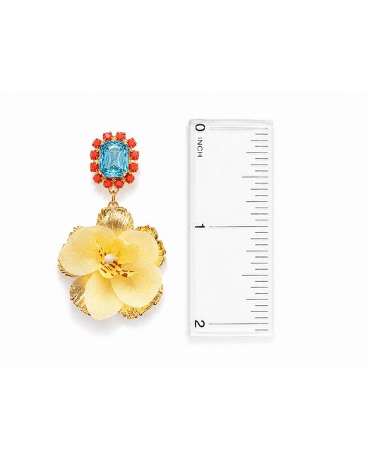The Pink Reef Metallic Vanda Orchid Gem Drop