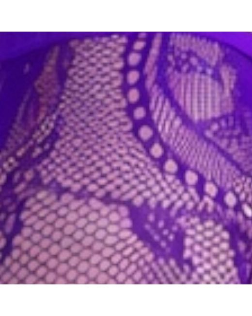 HIGH HEEL JUNGLE by KATHRYN EISMAN Purple Monet Lace Tights