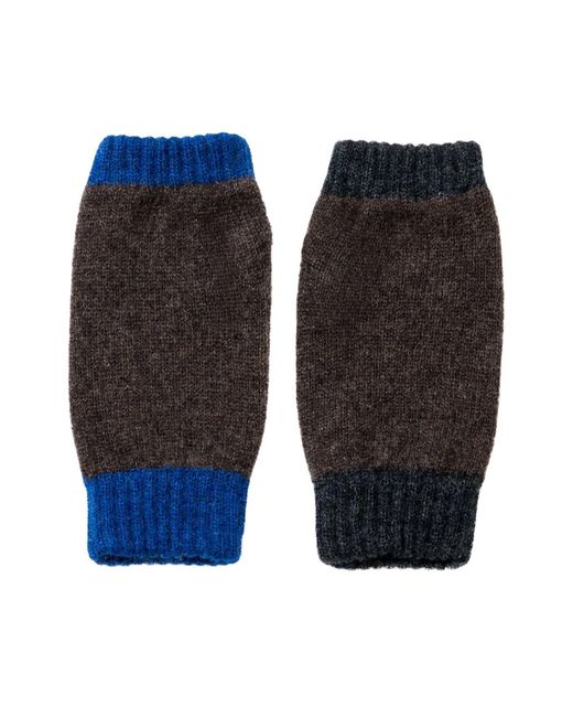Màiri M Macleod Blue Effie Elderberry