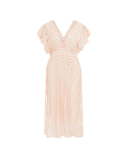 Lisa The Label Women's Pink Cappuccino Dress Long