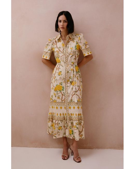 Raishma Metallic Miranda Dress