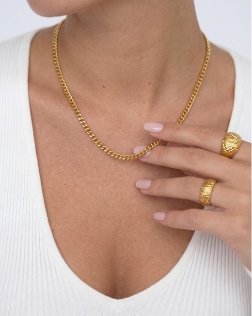 Elk & Bloom Metallic Dainty Chain 14K Choker Necklace