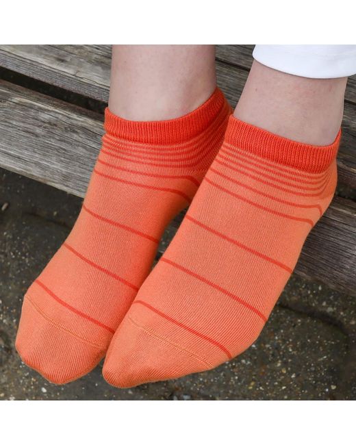 Peper Harow - Made in England Red Retro Stripe Luxury Crew & Trainer Socks Bundle