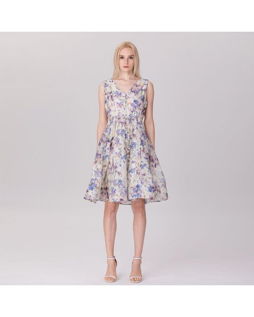 Smart and Joy Multicolor Neutrals Flower Print Sleeveless Tea Organza Dress