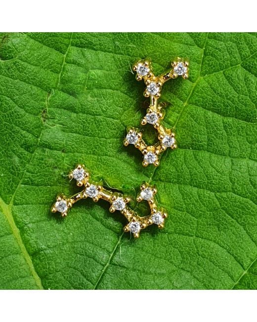 Harfi Metallic Scorpio Star Sign Constellation Astrology Tiny Earrings