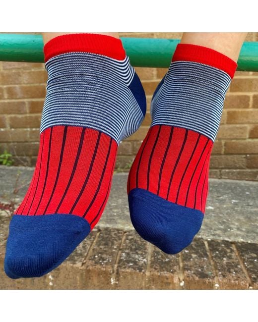 Peper Harow - Made in England Red Oxford Stripe Scarlet Luxury Crew & Trainer Socks Bundle for men