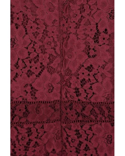Frock and Frill Red Moira Burgundy Lace Midaxi Dress