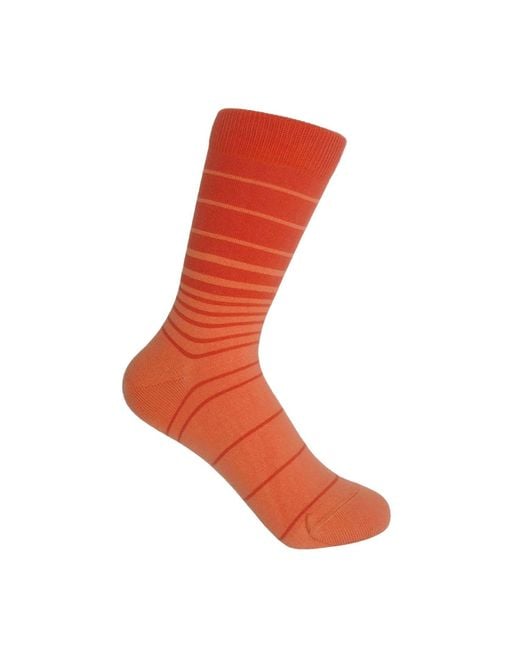 Peper Harow - Made in England Multicolor Socks Bundle