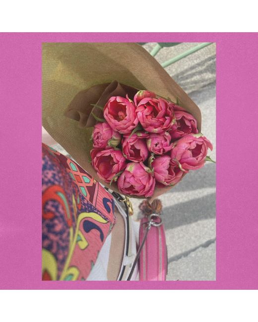 Introvertie VIENNA Red Silk Scarf