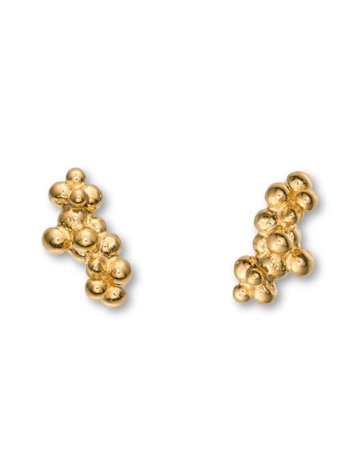 EVA REMENYI Metallic Céleste Deux Caviar Stud Earrings 14K