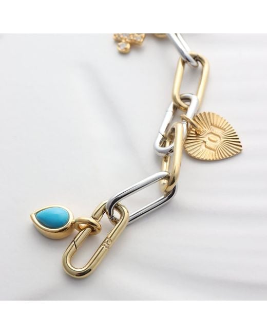 Hye Jane Jewelry Metallic Billie Two Tone Charm Bracelet