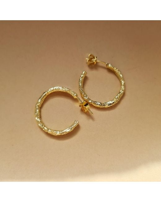 Janus Edinburgh Metallic Plated Sterling Textured Macdui Hoop Earrings