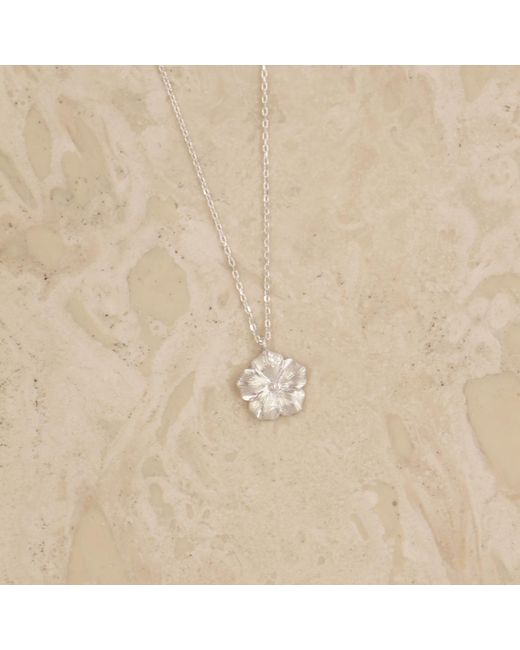Agora Jewellery Metallic Bavella Mini Necklace