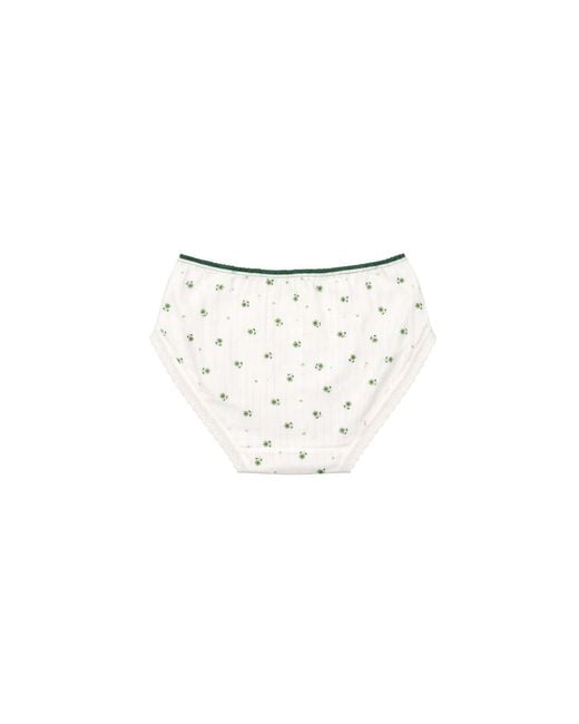 ADIBA White Petal Meadow Brief