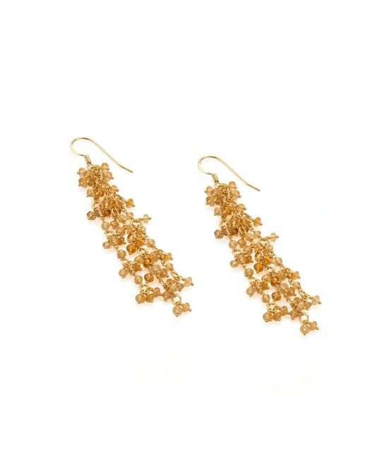 Jaredjamin Metallic Eloise Citrine Cluster Vine Dangle Earrings