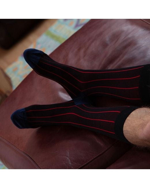 Peper Harow - Made in England Gray Pin Stripe & Luxury Crew & Trainer Socks Bundle for men