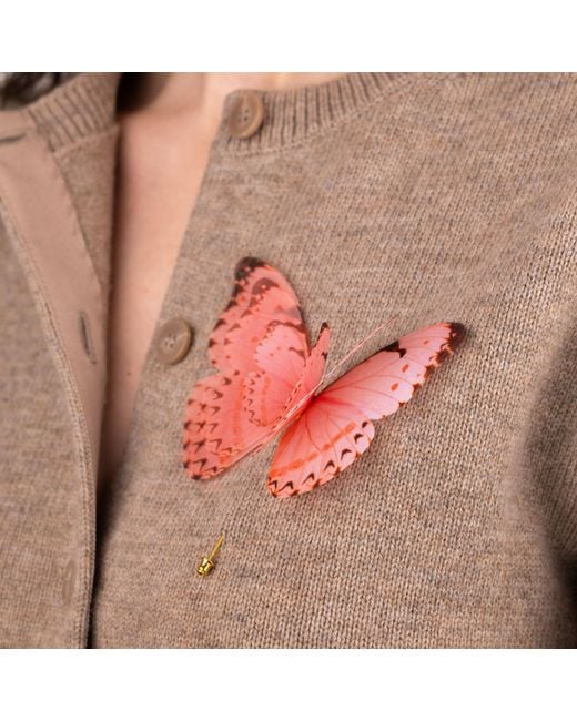 Oana Savu Orange Pin Silk Butterfly Brooch