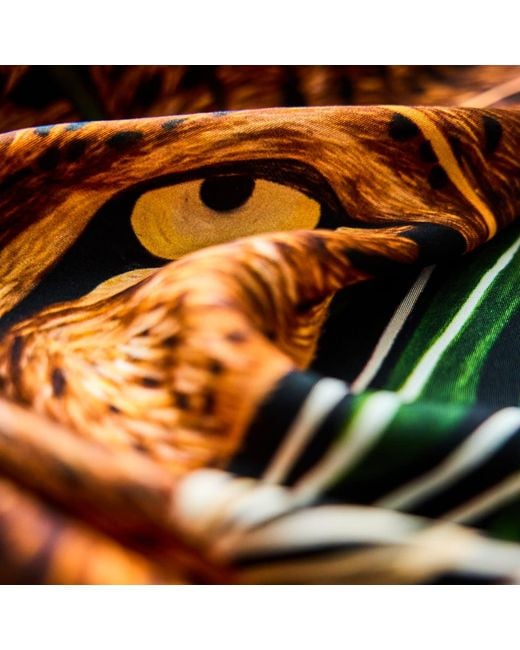 Josie's Editions Green Leopard Hidden