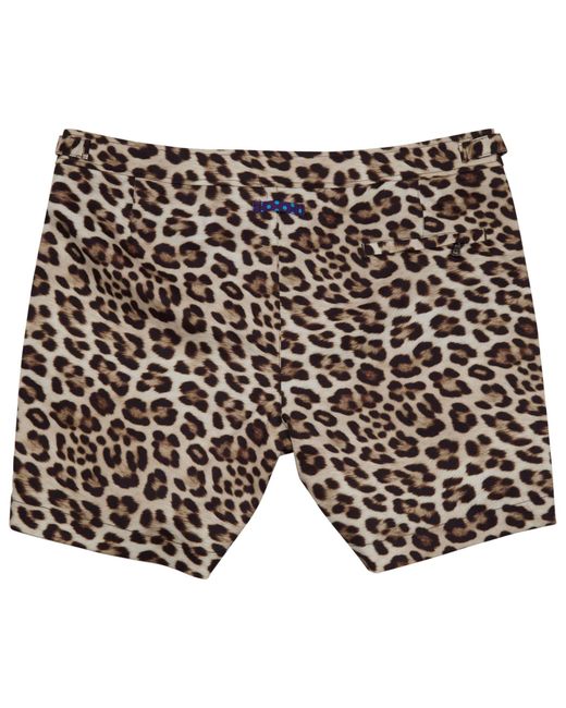 Lords of Harlech Black Pool Leopard Tailored Swim Short for men