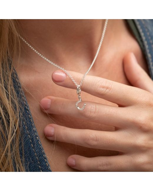 Lily Charmed Metallic Sterling Lucky Horseshoe Charm Necklace