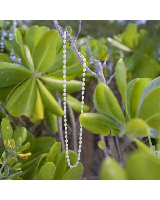Herself Collections Metallic Hand-Knotted Freshwater Rice Pearl Necklace