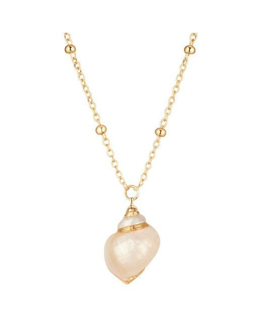My Little Nature Metallic Seashell Necklace With Plated Chain