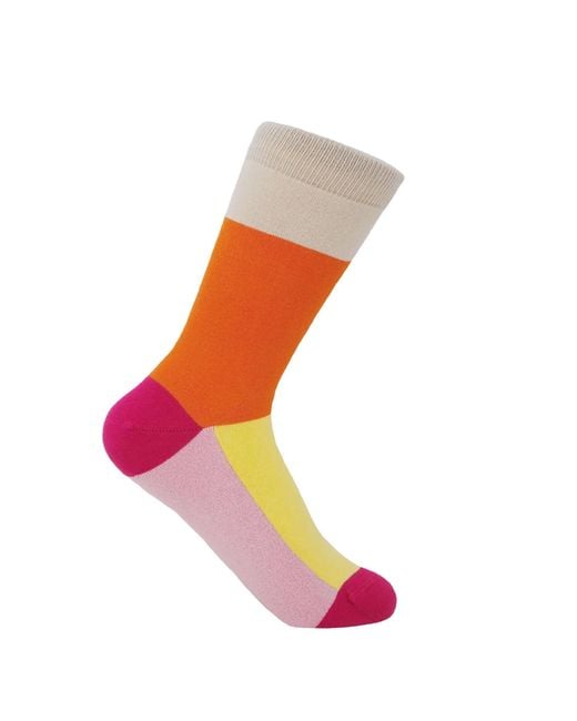 Peper Harow - Made in England Blue Victoria Socks – Bundle