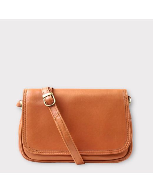 Lloyd Baker Orange Amritsar Leather Crossbody Bag