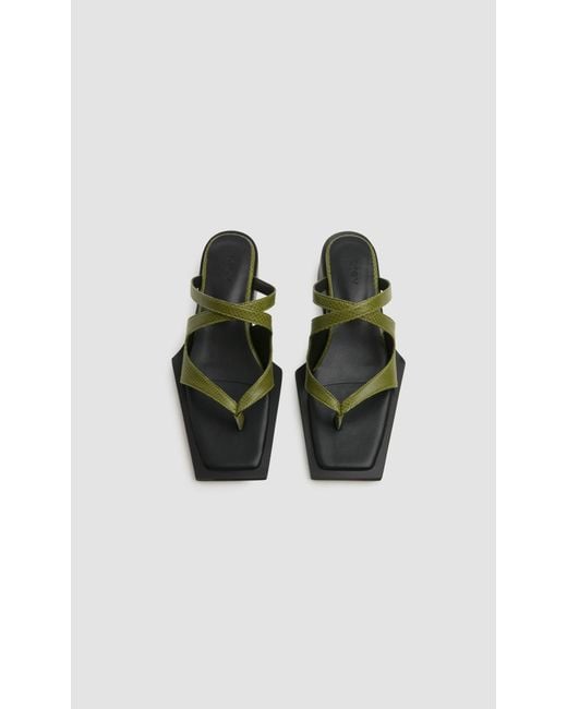 PREVU Green Karel Mule