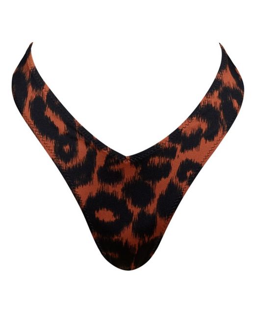Noire Swimwear Black Animal Print V-shape Bottom