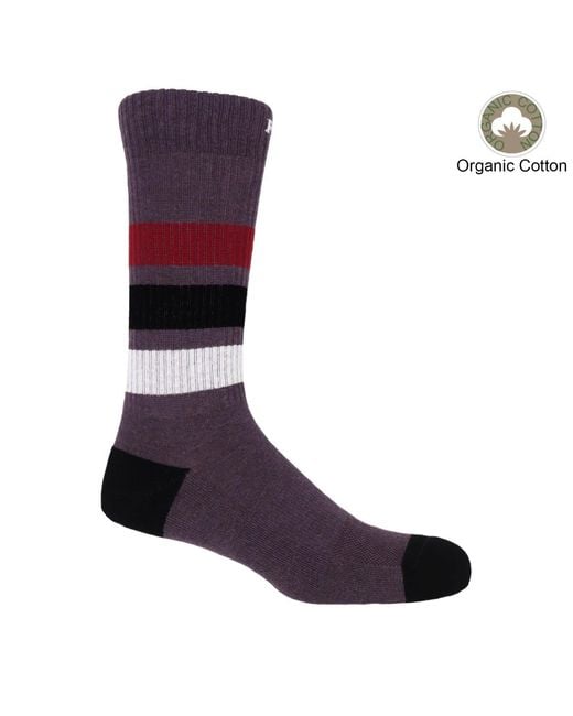 Peper Harow - Made in England Blue Organic Sports Socks Bundle – for men