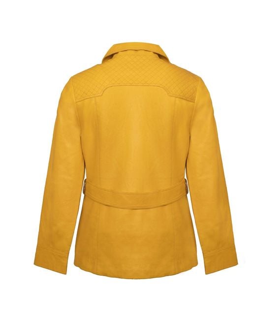 Zasta Studio Yellow Old Fashioned
