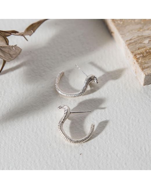 Zoe & Morgan Metallic Cobra Hoops
