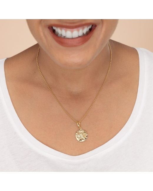 Lily Charmed Metallic Plated Leo Zodiac Charm Necklace