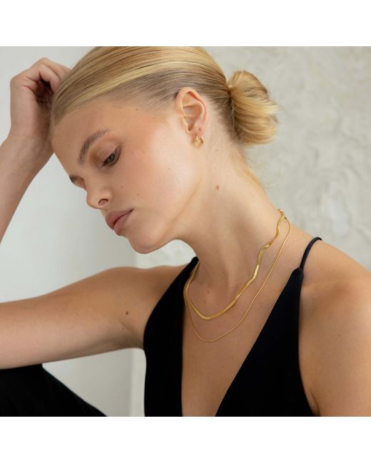 Arctic Fox & Co. Metallic Double Snake And Rope Chain Necklace