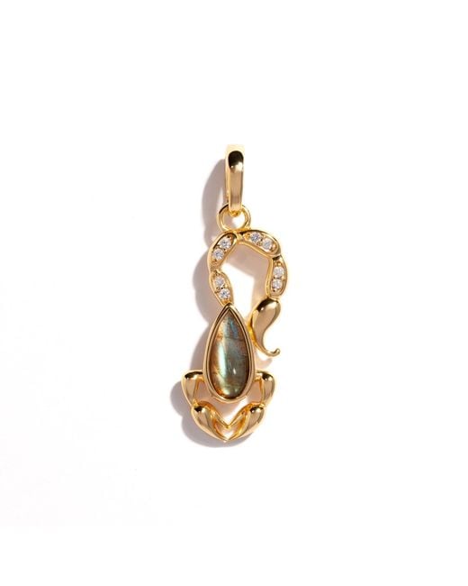 MARIE JUNE Jewelry Metallic Midnight Scorpion Pendant