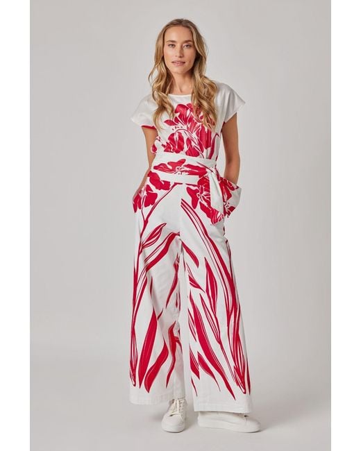 Marianna Déri Red Wide-Leg Pants With Botanical Print And Tie Belt