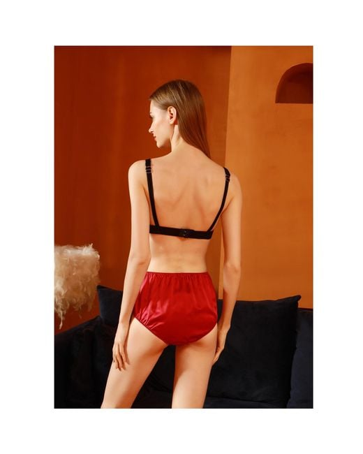 Soft Strokes Silk Pure Mulberry Silk French Cut Panties High Waist Set Of  Nine in Red