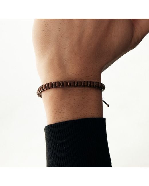 Tvento Brown Vertex Terranova for men