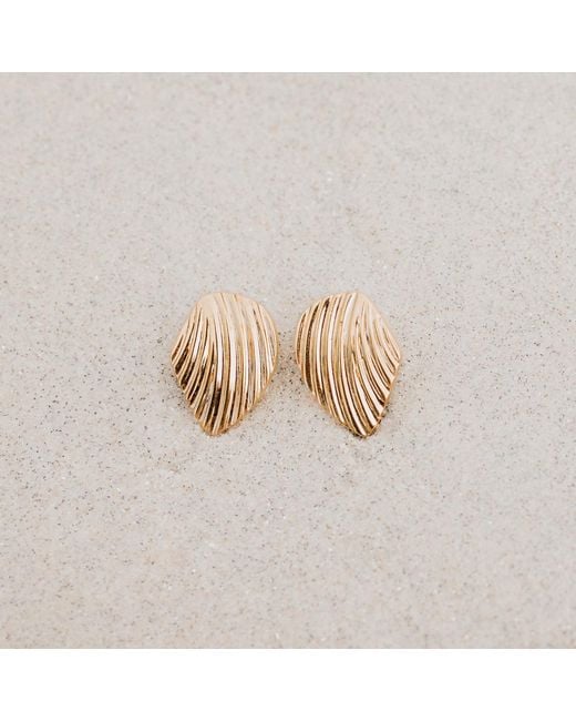 Augustine Jewels Metallic Shell Stud Earrings