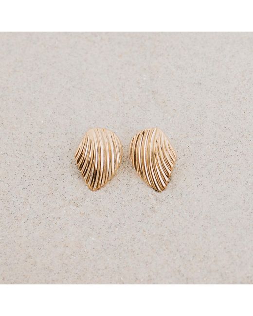 Augustine Jewels Metallic Shell Stud Earrings
