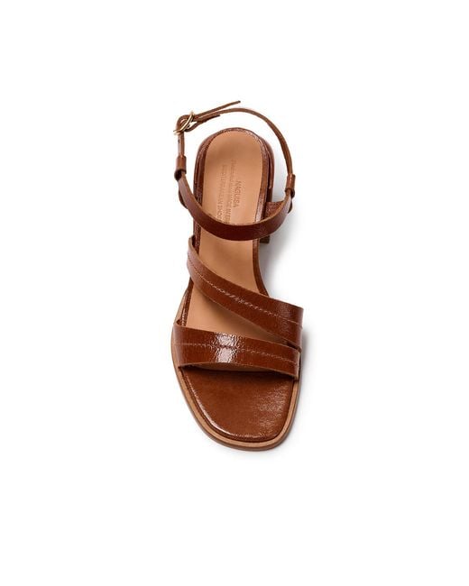 Naguisa Brown Balis Gloss