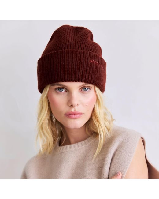 Arctic Fox & Co. Embroidered Merino Wool Beanie