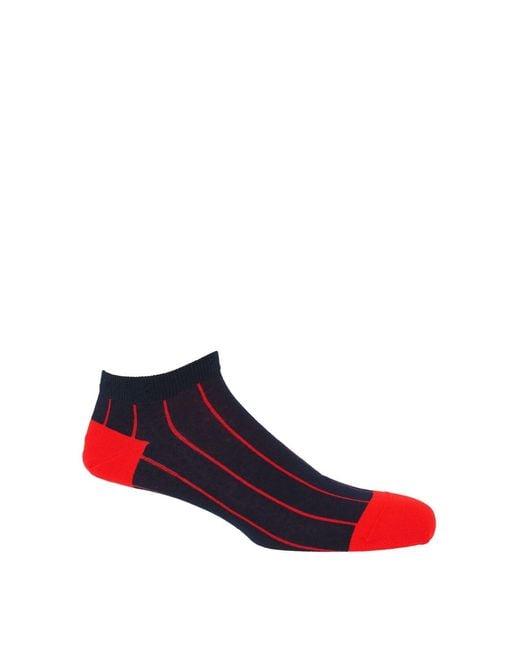 Peper Harow - Made in England Gray Pin Stripe & Luxury Crew & Trainer Socks Bundle for men