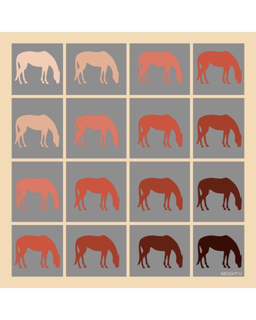 Neightiv Gray Grazing Symmetry Small Scarf