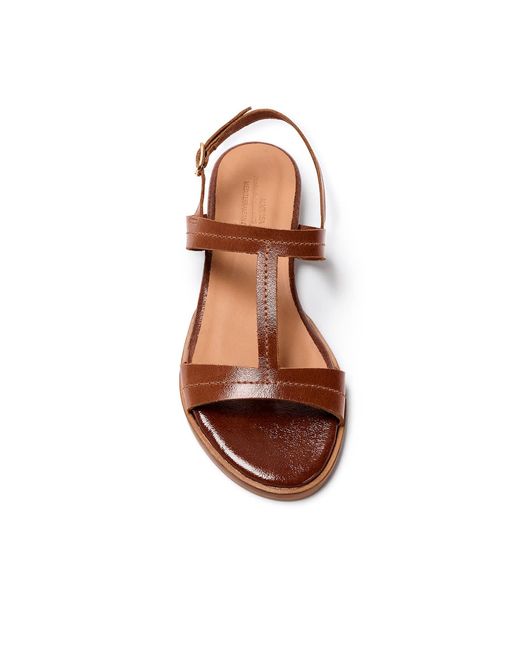 Naguisa Brown Altea Gloss
