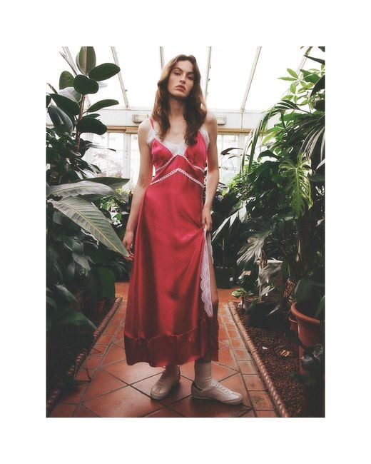 Lisa The Label Pink Le Jardin Ruby Rose Slip Dress