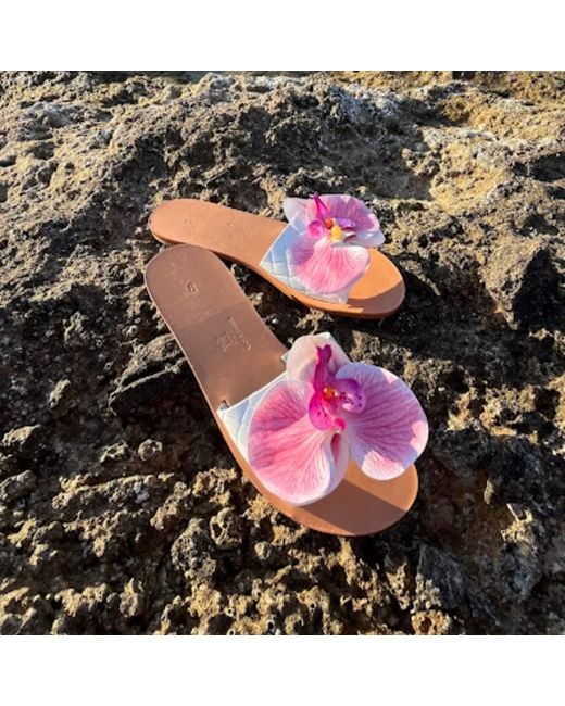 Sibylla Delphica Pink Calanthe Flat Leather Sandals